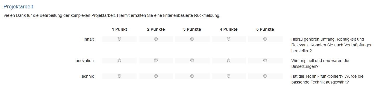 Rubrik Beispiel Radiobutton2