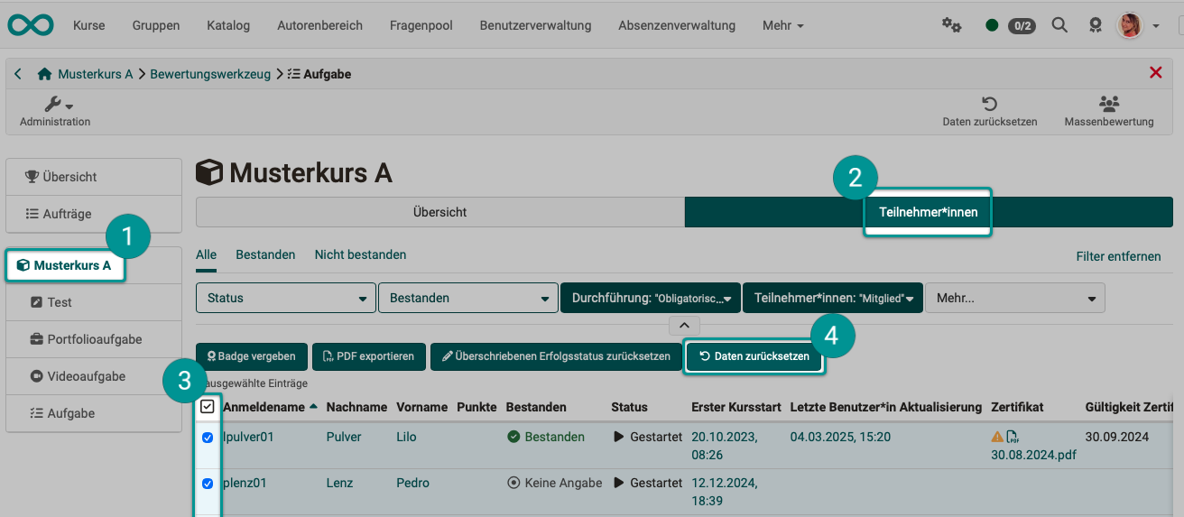 assessment_tool_reset_data_member1_v1_de.png