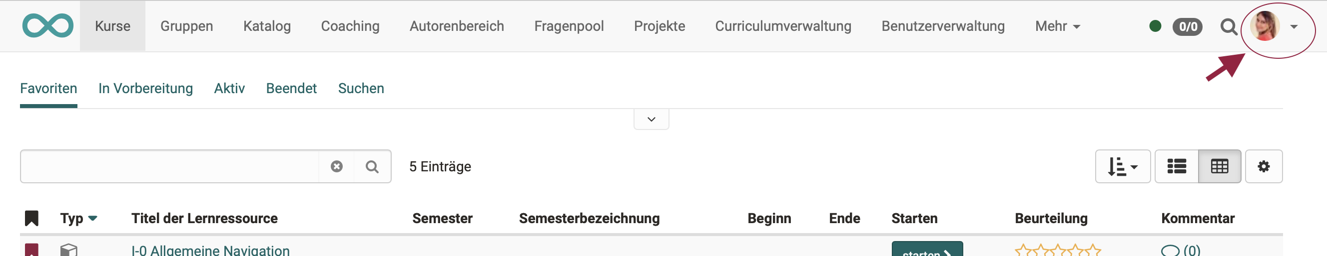 portfolio_assignment_grading_comment1a_v1_de.png