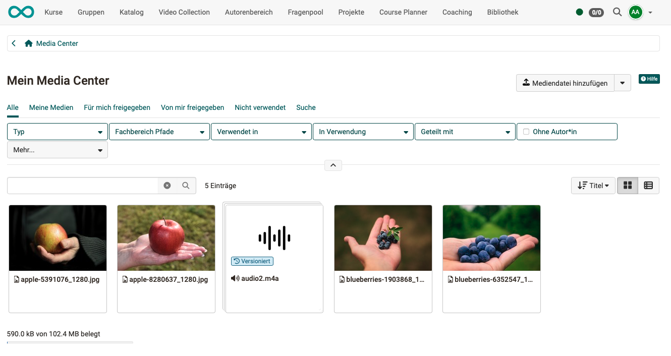 pers_menu_media_center_example_v1_de.png